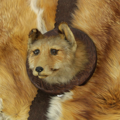 Image for Lot 2 Red Fox Throws and a Fox Head