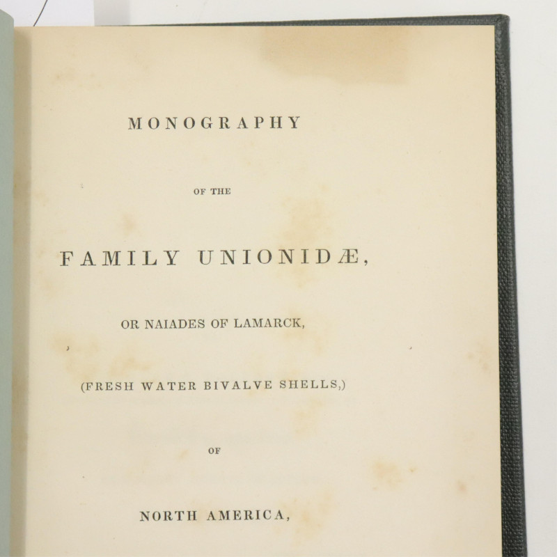 Conrad Family Unionidae 1 related vol