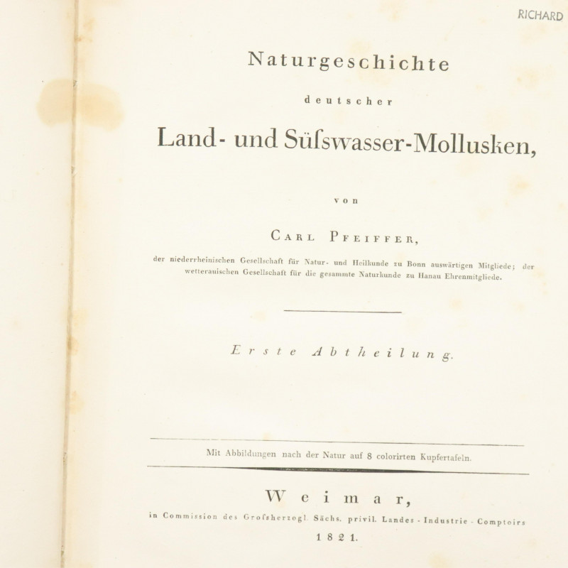 Pfeiffer Deutscher Mollusken Weimar: 1821
