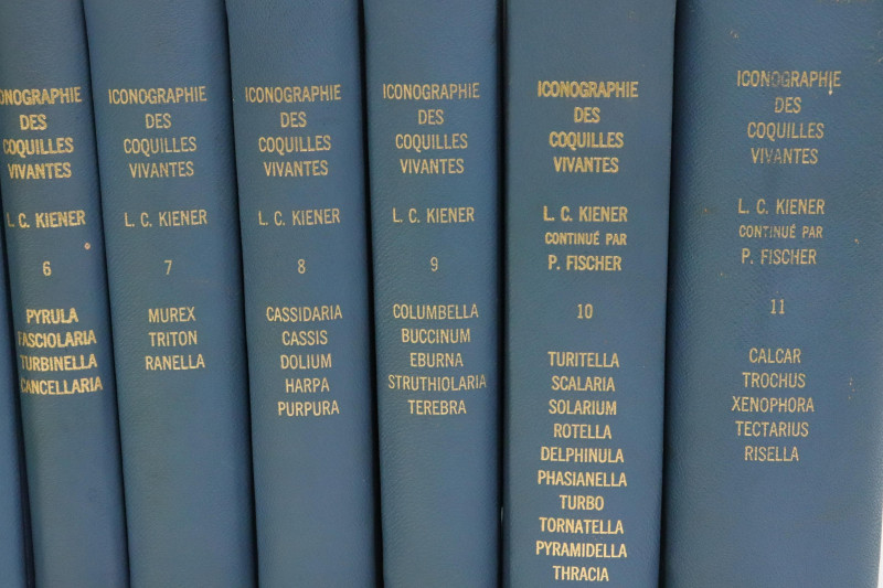 Kiener Fischer 11 vols Species General