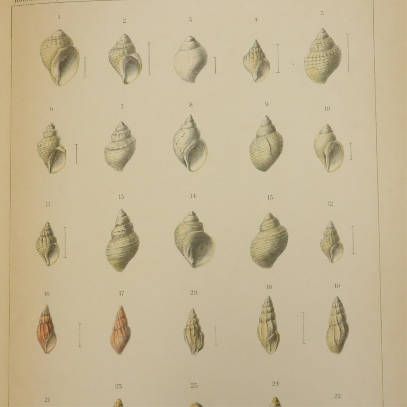 Kobelt Iconographie 18831908 4 vols