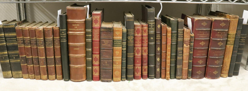 Group of 31 leatherbound books on shells