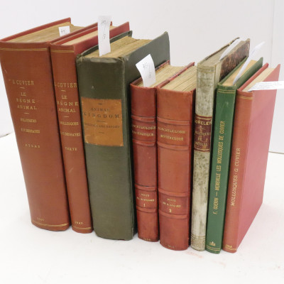 Image for Lot Cuvier Regne Animal 2 vols 6 others related
