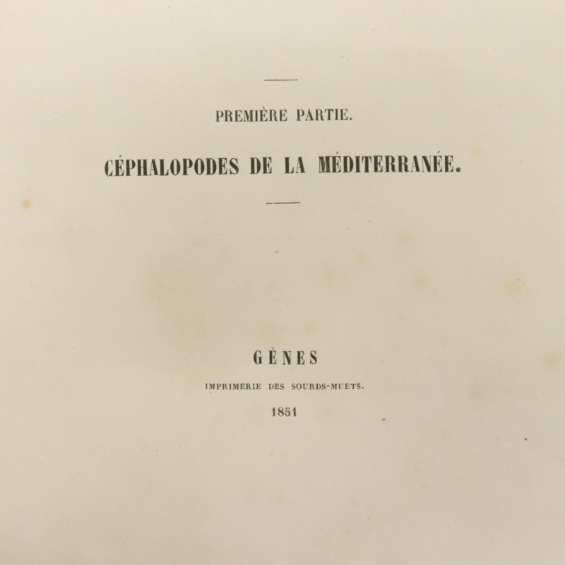 Verany Mollusques premiere partie 1851