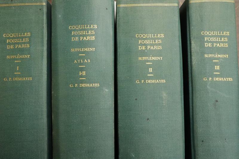 Group of books on fossil shells