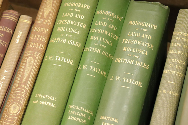 Group of books on shells of GB Ireland