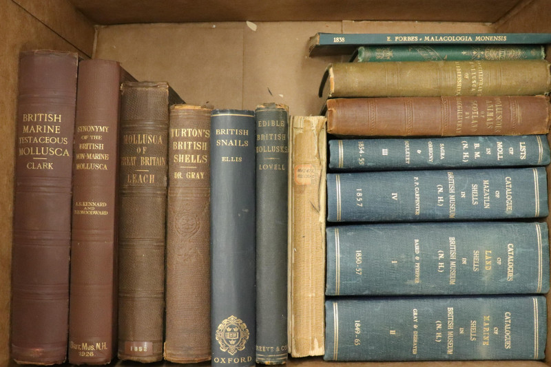 Group of books on shells of GB Ireland