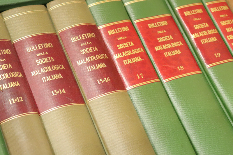Group of books on the shells of Italy