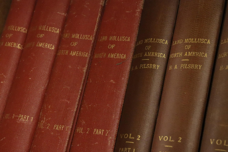 USA group of books on American shells