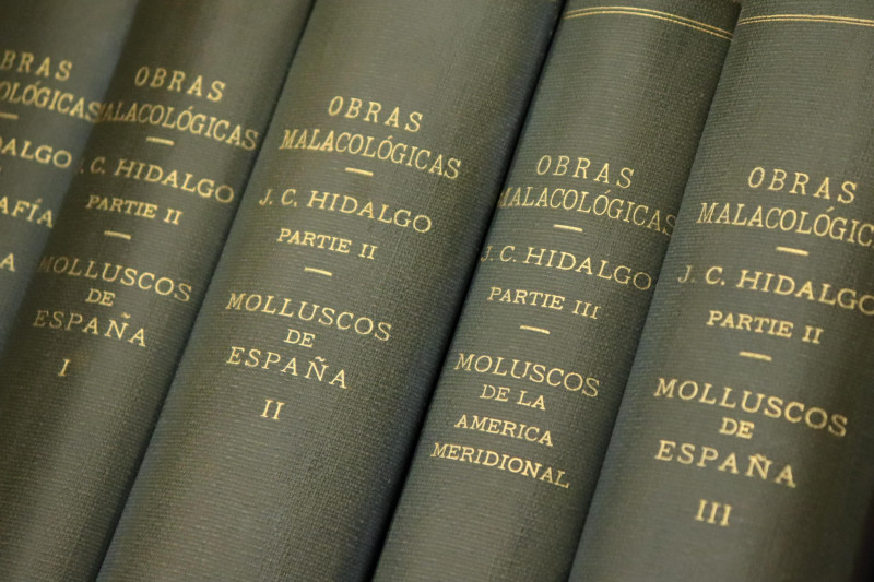 Group of books the shells of Spain and Portugal