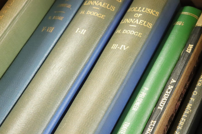 Image for Lot Group of Books; Monographs on Shells