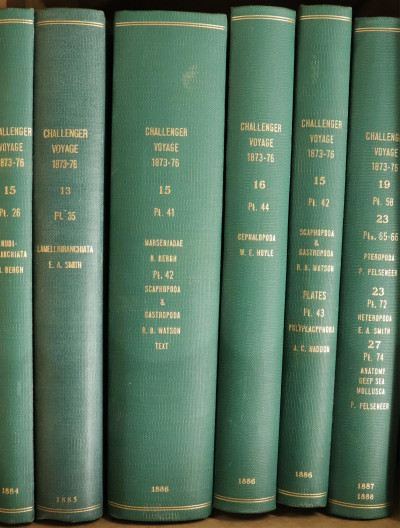 A Group of Books on HMS Challenger Expedition