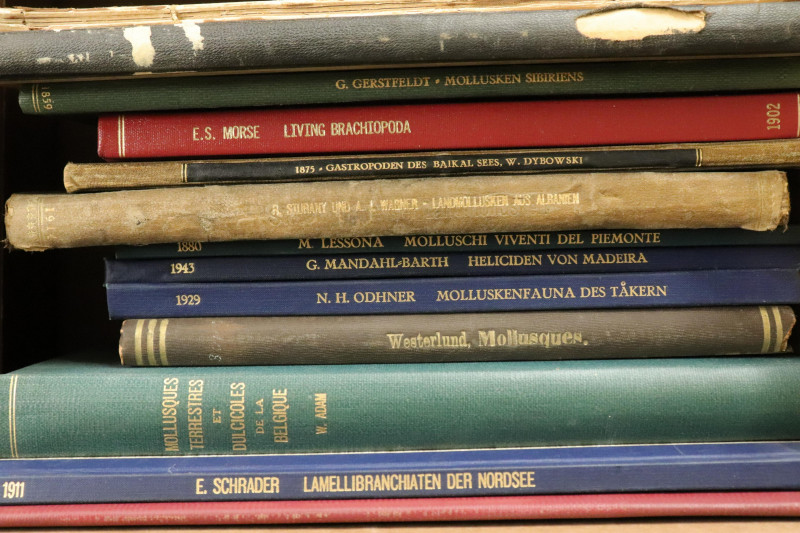 Group of Books; Monographs on Shells