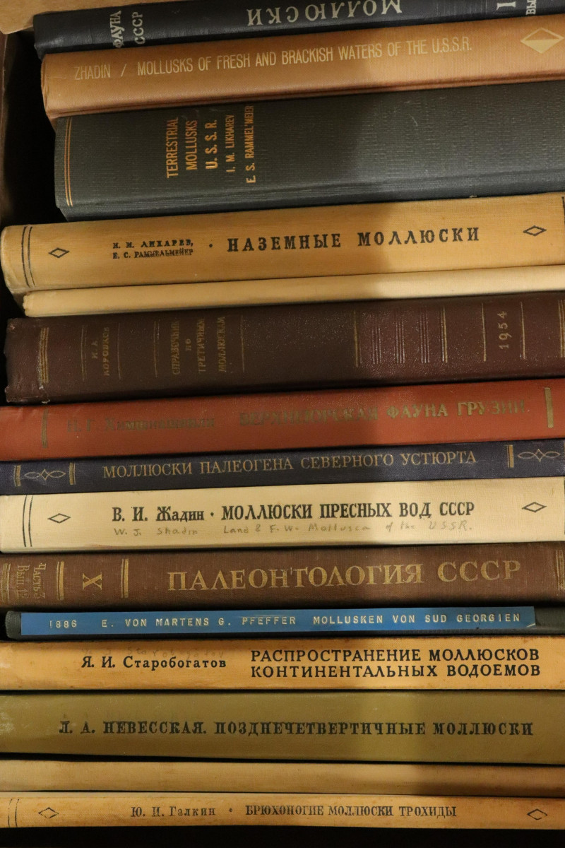 A Group of Russian Books on Shells