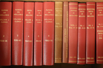 A Group of Works by W Clench