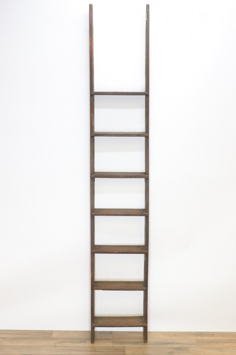 Victorian Oak Library Ladder
