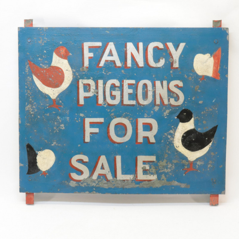 7 Advertising Signs 'Fancy Pigeons'