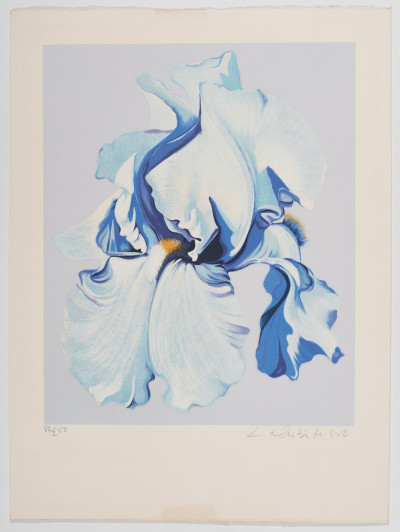 Lowell Nesbitt - Iris Prints (2)