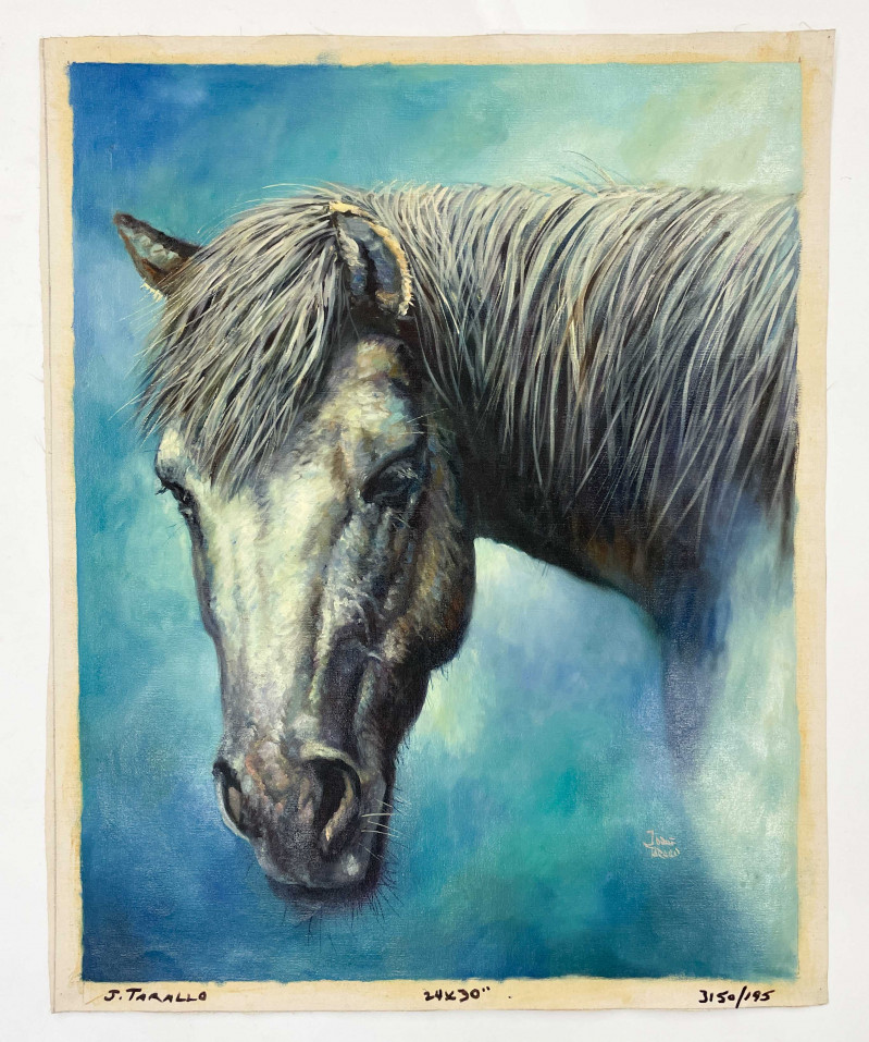 Jorge Tarallo Braun - Silver Horse