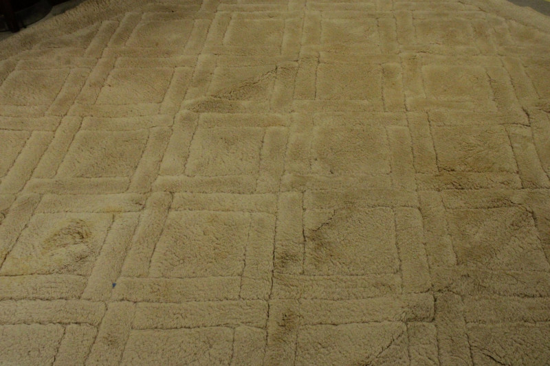Edward Fields Wool Textured Beige Area Carpet