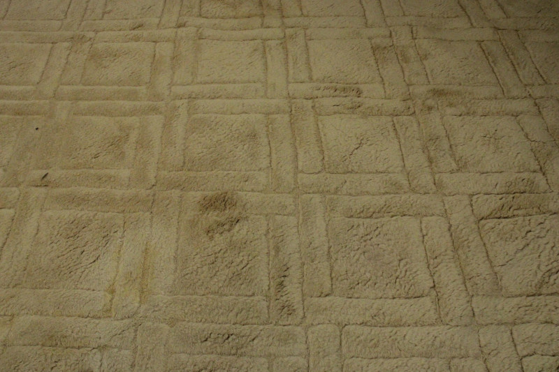 Edward Fields Wool Textured Beige Area Carpet