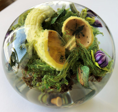 Paul Stankard Ant in Squash Bouquet Paperweight