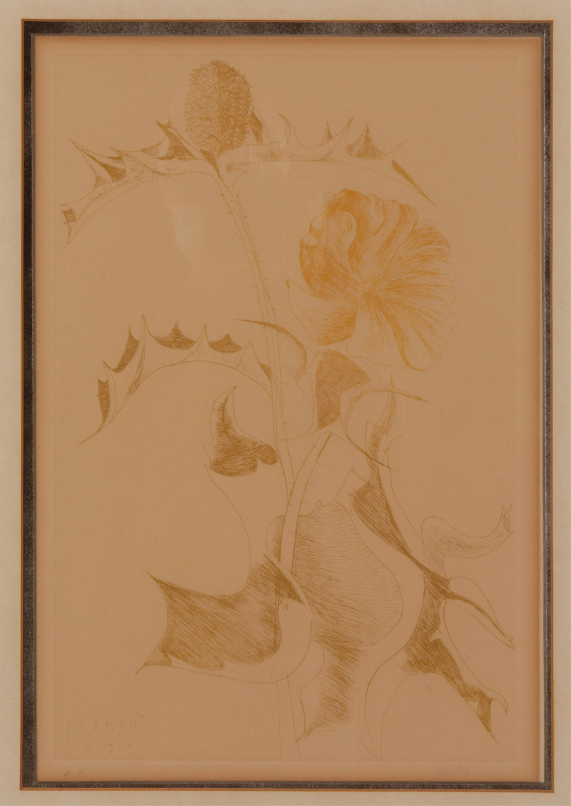 Leonard Baskin 2 Floral/Wildflower Engravings