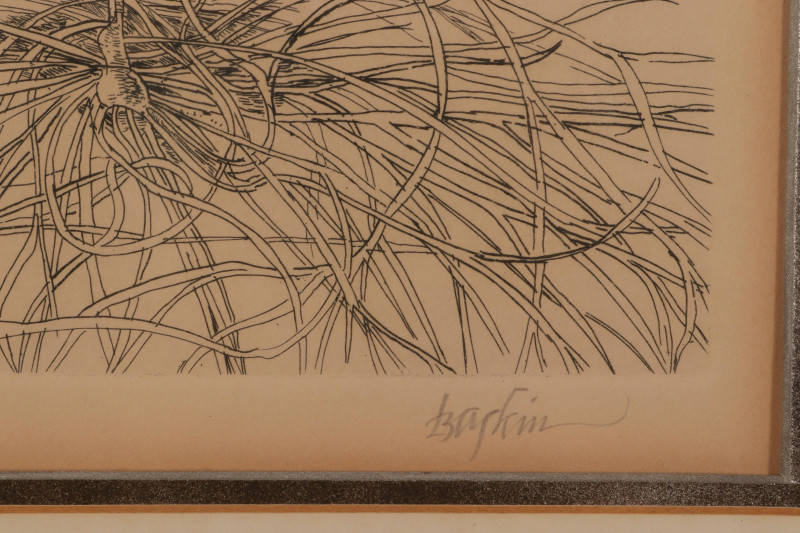 Leonard Baskin 2 Floral/Wildflower Engravings