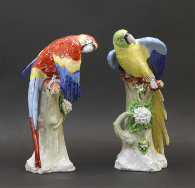 Two Bavarian/Saxon Porcelain Parrots