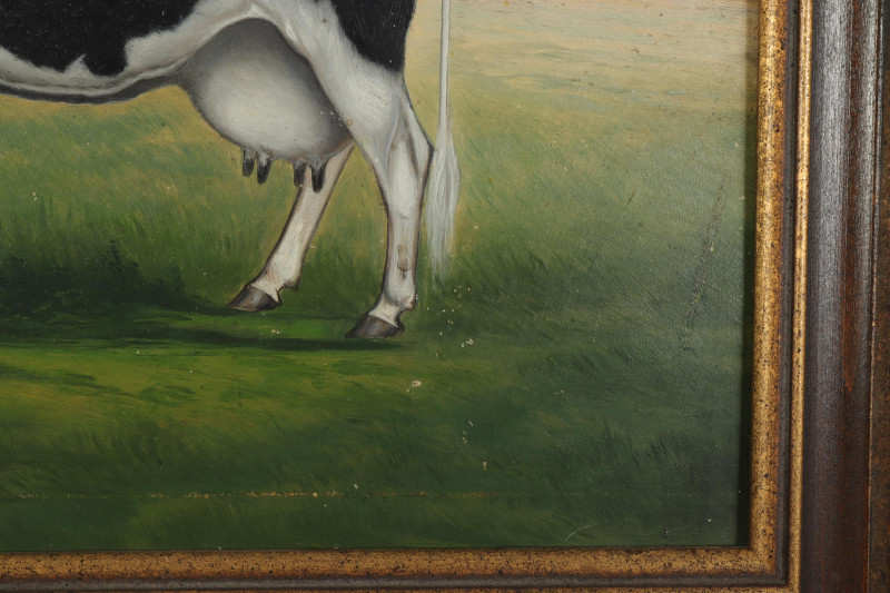 W Van Zandt Black White Cow 1892