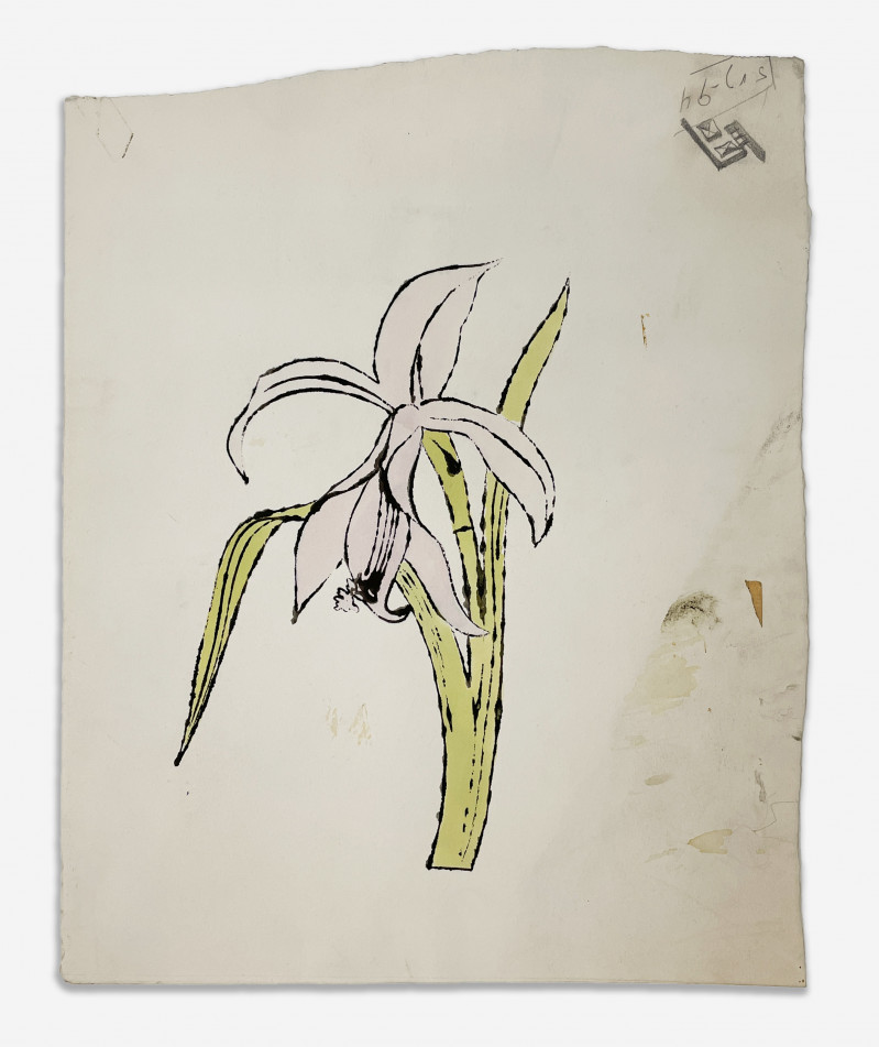 Andy Warhol - Still-Life (Flower)