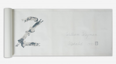William Wegman - Alphabet (Wallpaper Border)