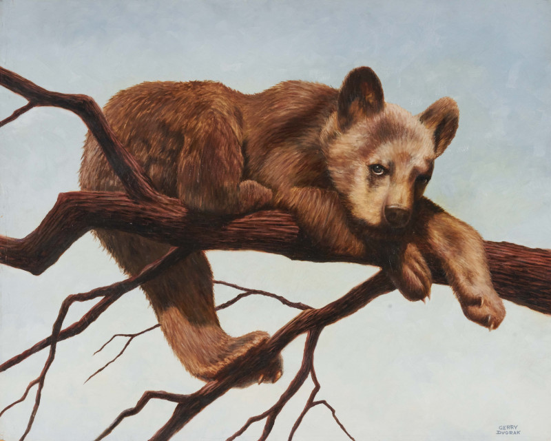 Gerry Dvorak - Brown Bear Cub
