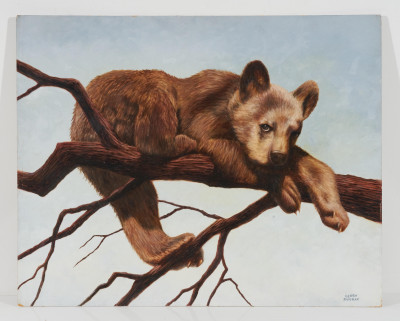 Gerry Dvorak - Brown Bear Cub