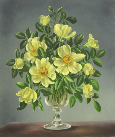 Christopher Hill Yellow Orchids