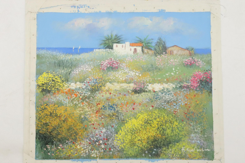 Felice Calven Flower Field in Greece