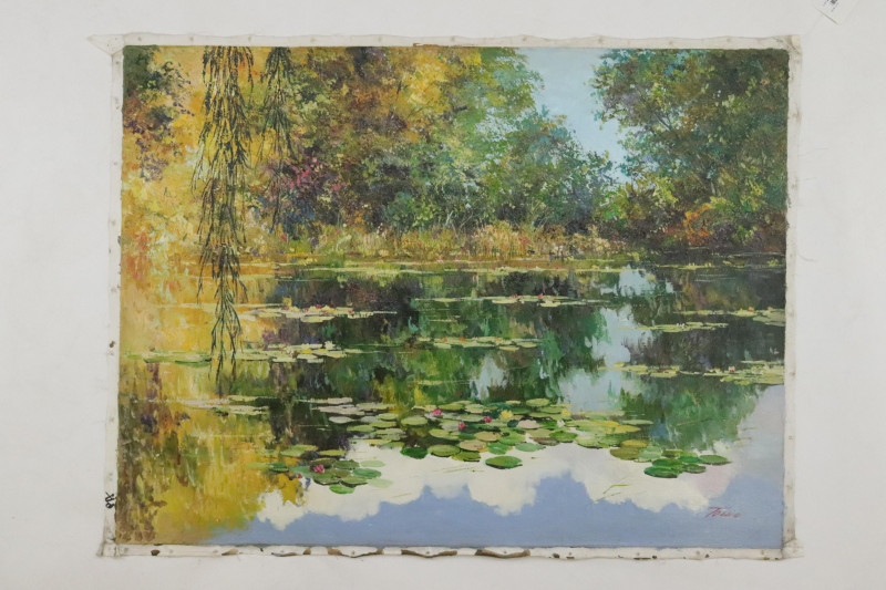 Rodolfo Tonin Reflective Lake View