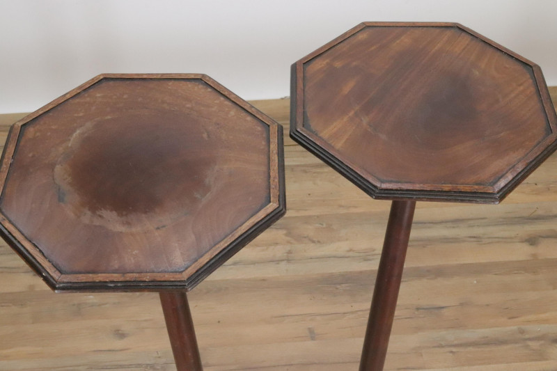 Pair of George III Style Mahogany Fern Stands