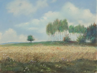 Hubert Bauer Landscapes (2)
