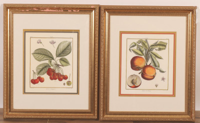 Image for Lot Two Hand Colored Botanical Lithographs