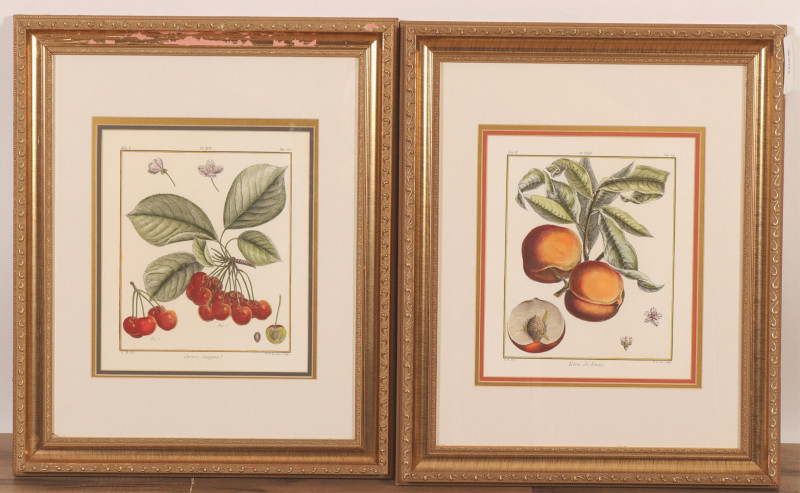 Two Hand Colored Botanical Lithographs