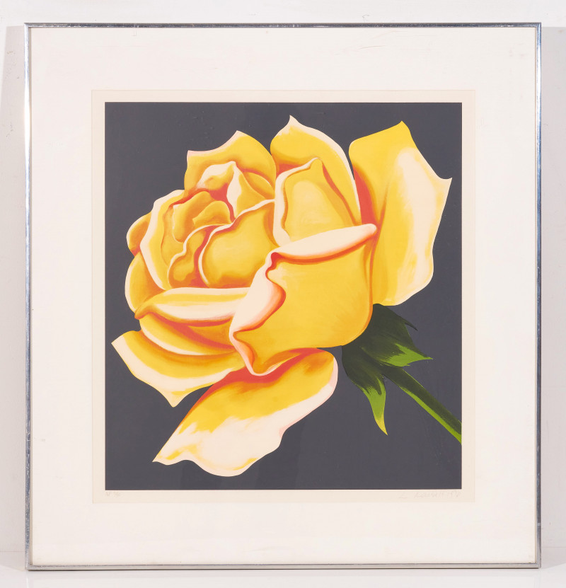 Lowell Nesbitt - Untitled (Yellow rose)