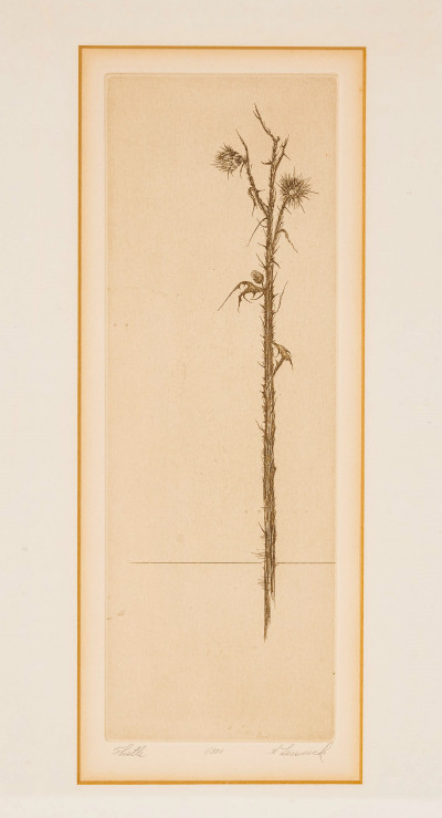 Image for Lot Howard Lessnick - Botanical Etching, Thistle