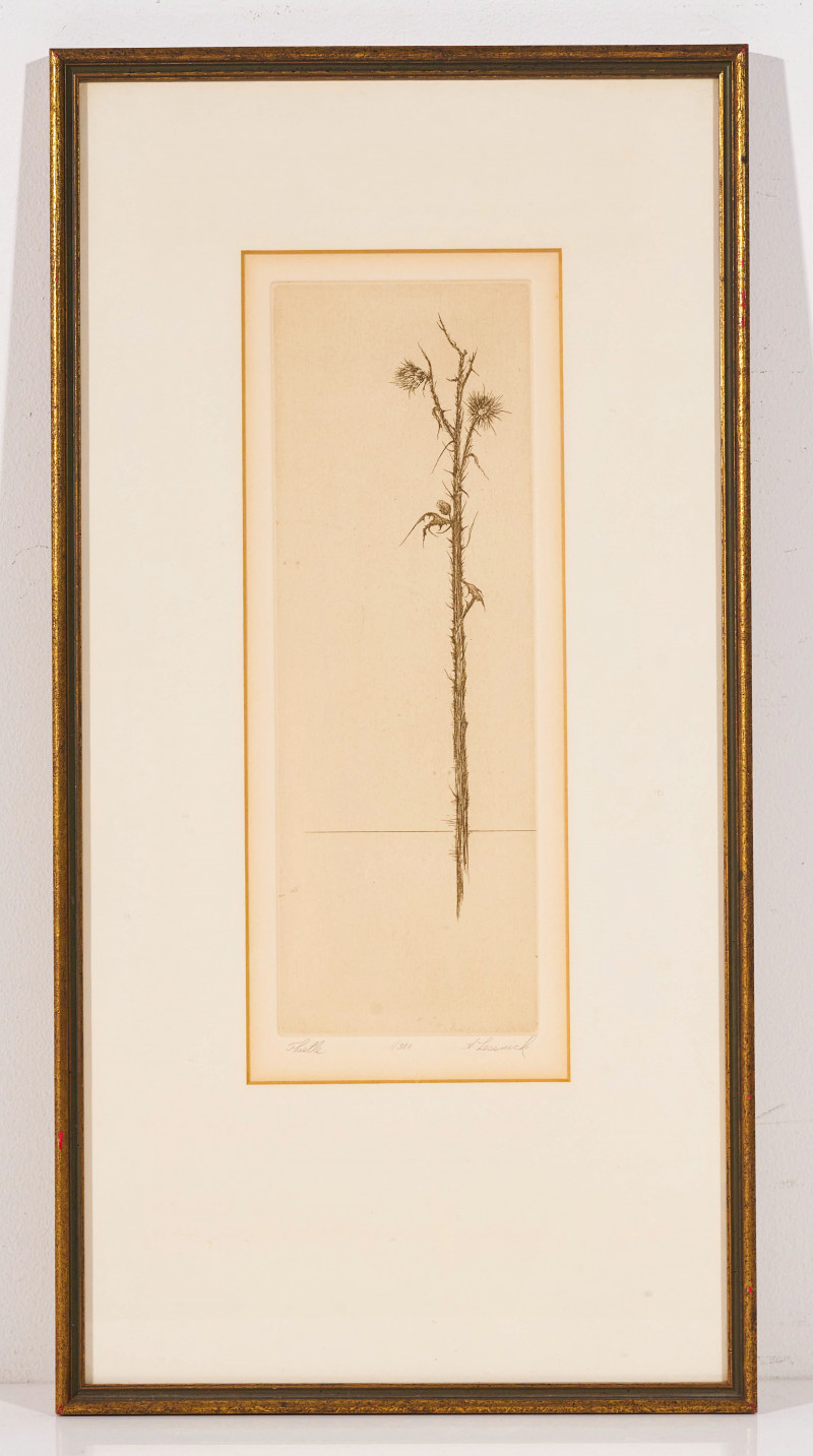 Howard Lessnick - Botanical Etching, Thistle