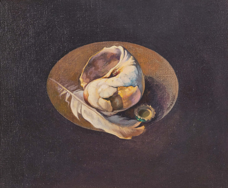 Unknown Artist - Still Life with Shell and Feather