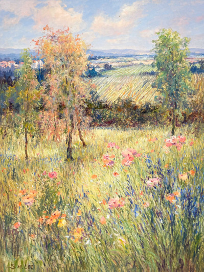 Sang M. Lee - Tuscany Poppies In The Field