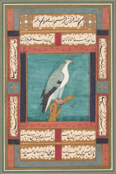 Artist Unknown - Pair of Mughal Hawk Portraits