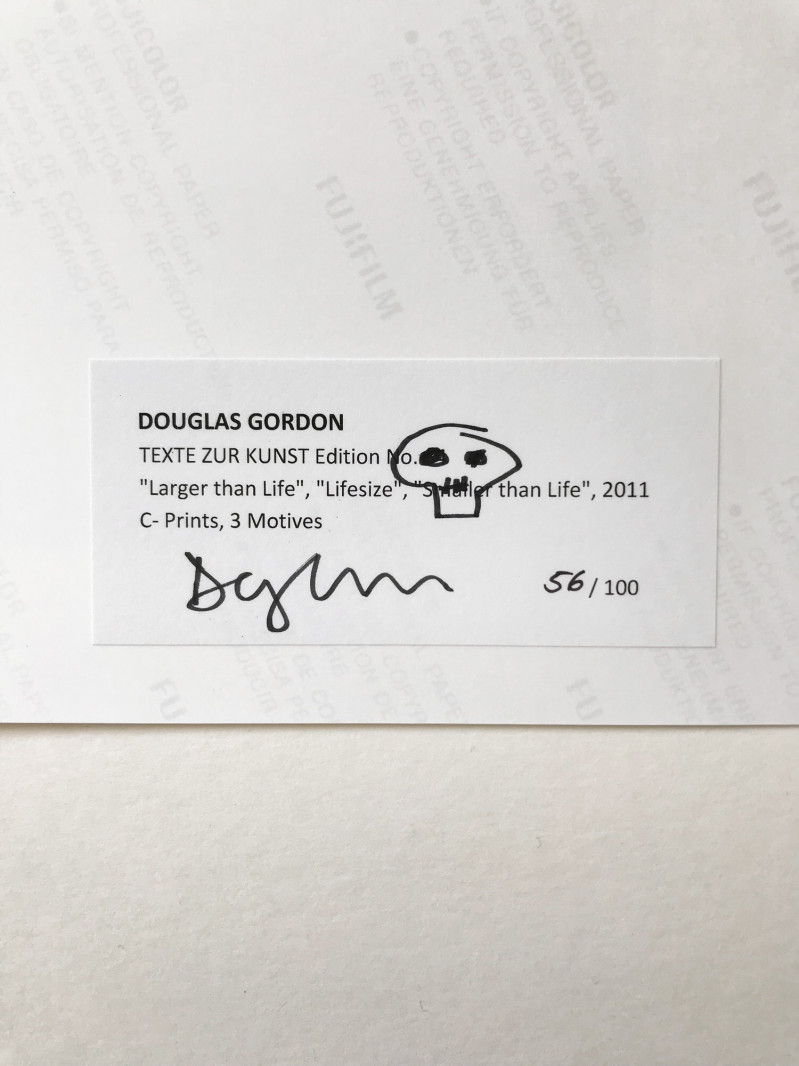Douglas Gordon Larger than Life Lifesize Smaller than Life (3 Works)