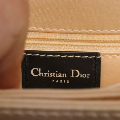 Christian Dior D'Trick Bag