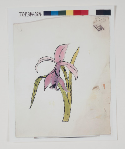 Andy Warhol - Still-Life (Flower)